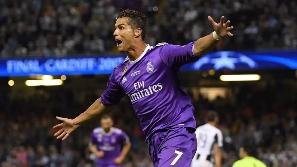 尼在退役后 尼在退役后