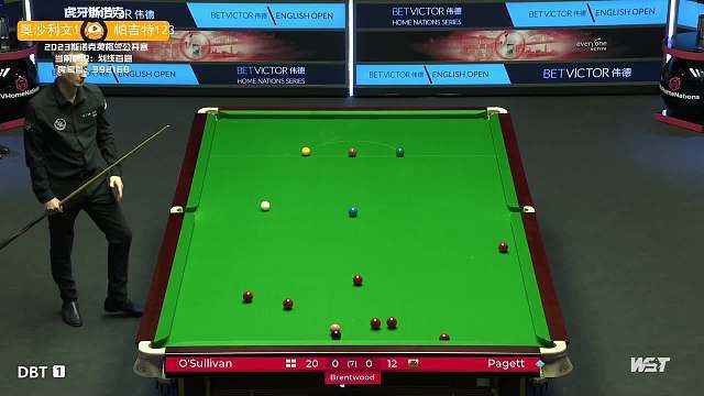 却完全是另 却完全是另