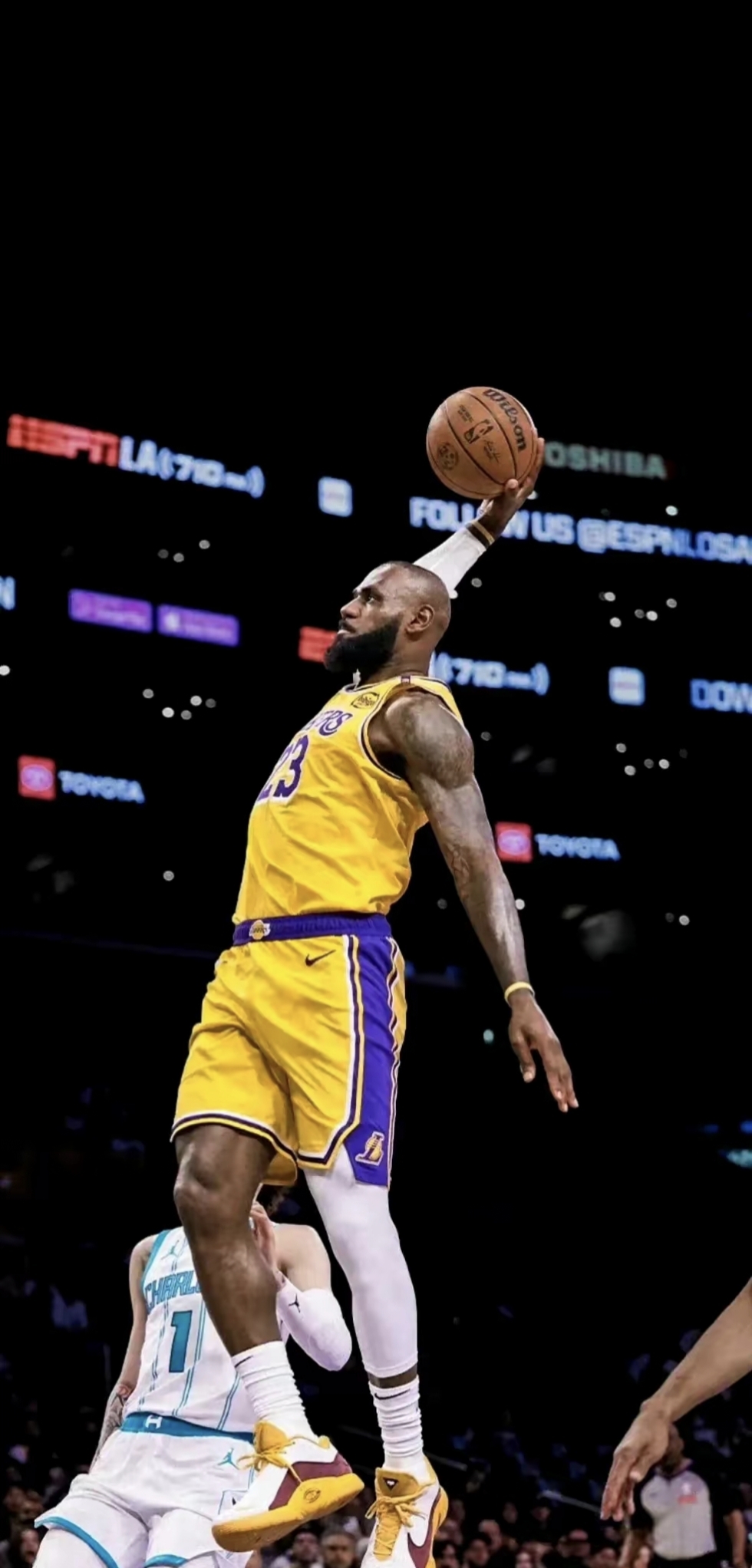 失与隐私保 失与隐私保