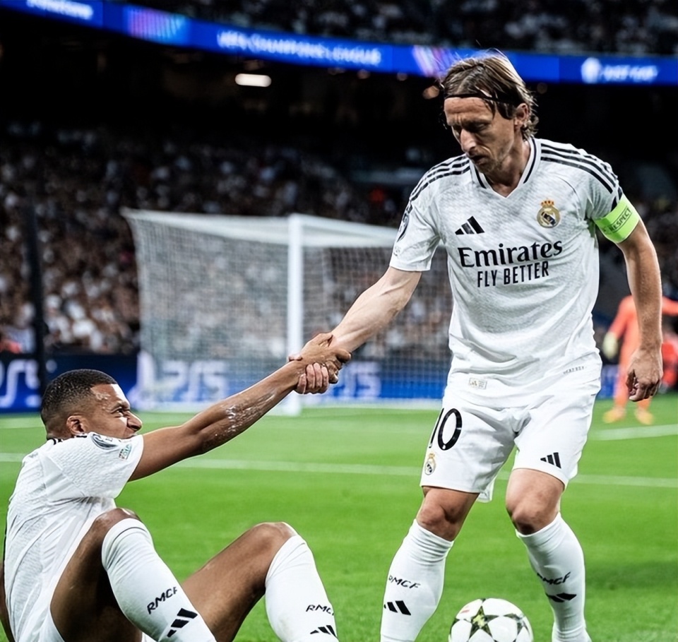 结论性判断 结论性判断